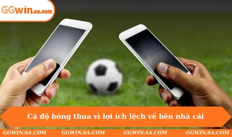 Tại Sao Cá Độ Bóng Đá Luôn Thua - Sự Thật Hội Viên Ít Biết 2 Cá độ bóng thua vì lợi ích lệch về bên nhà cái