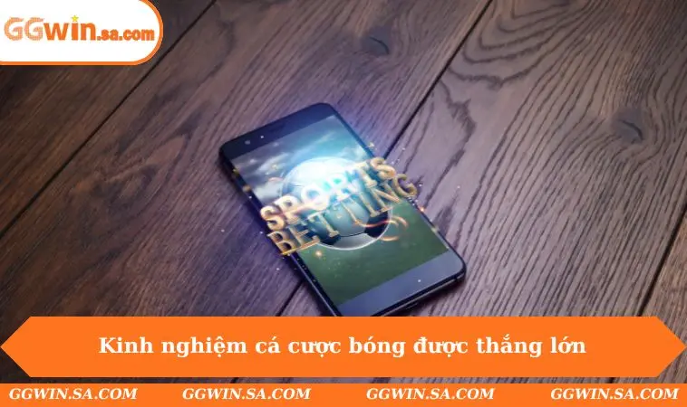 Tại Sao Cá Độ Bóng Đá Luôn Thua - Sự Thật Hội Viên Ít Biết 3 Kinh nghiệm cá cược bóng được thắng lớn
