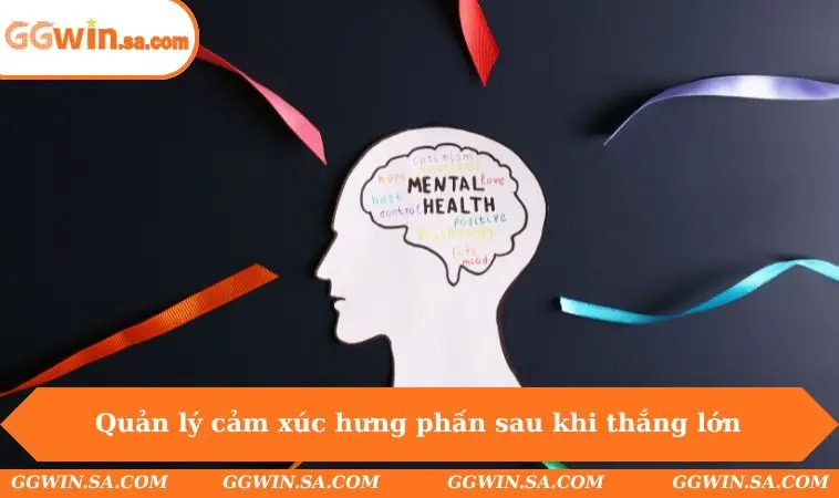 Cách Quản Lý Cảm Xúc Khi Chơi Cá Độ Chuẩn Để Tránh Sai Lầm 2 Quản lý cảm xúc hưng phấn sau khi thắng lớn