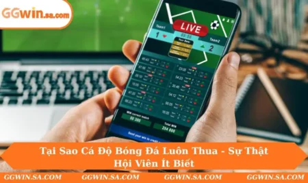 Tại Sao Cá Độ Bóng Đá Luôn Thua - Góc Thẳng Thắn Cho Newbie