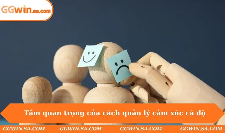 Cách Quản Lý Cảm Xúc Khi Chơi Cá Độ Chuẩn Để Tránh Sai Lầm 1 Tầm quan trọng của cách quản lý cảm xúc khi chơi cá độ
