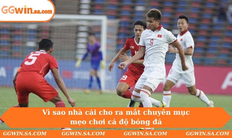 Chia Sẻ Các Mẹo Chơi Cá Độ Bóng Đá Đỉnh Cao Năm 2025 1 Vì sao nhà cái cho ra mắt chuyên mục mẹo chơi cá độ bóng đá